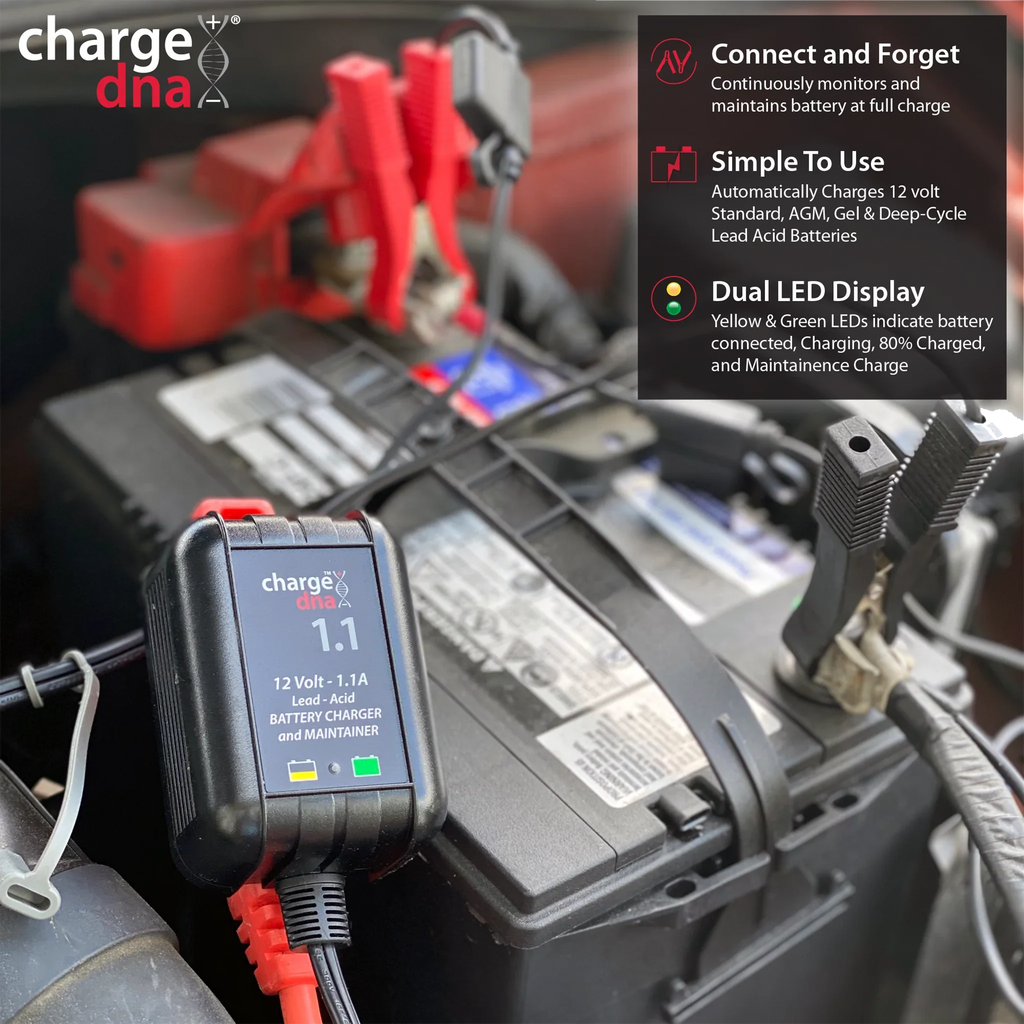 ChargeDNA 1.1