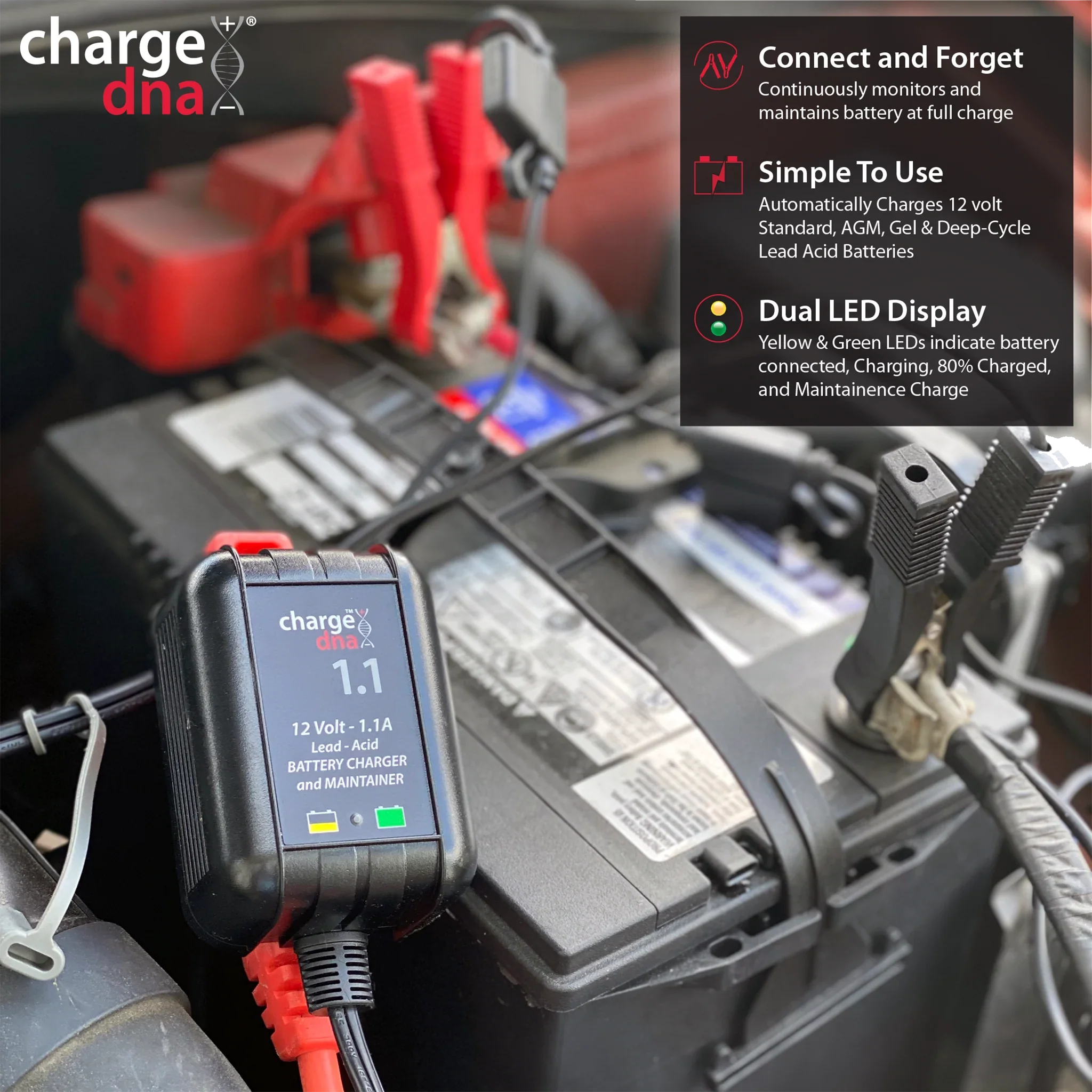 ChargeDNA 1.1