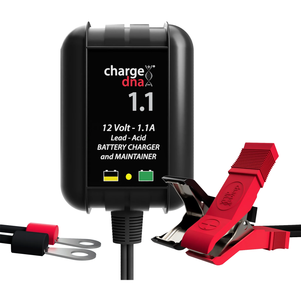 ChargeDNA 1.1