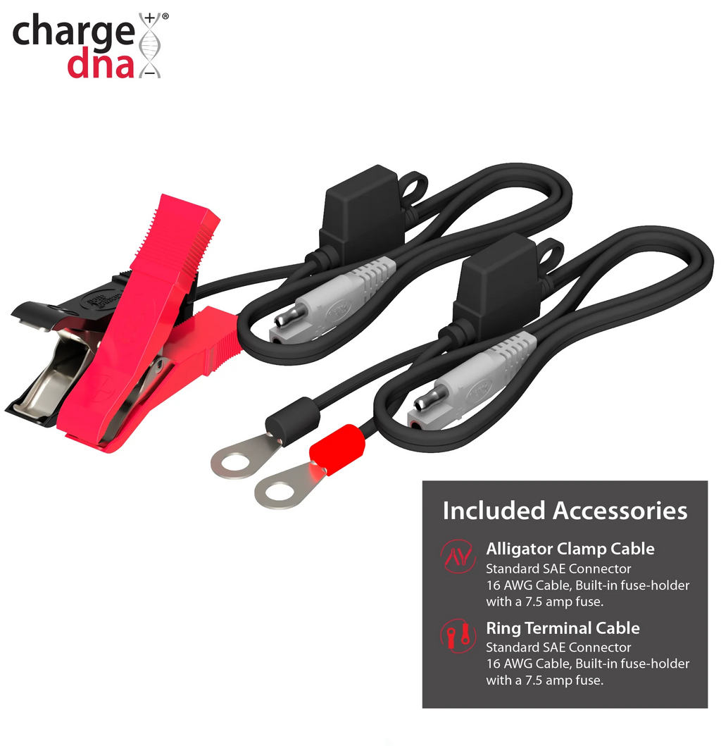 ChargeDNA 1.1