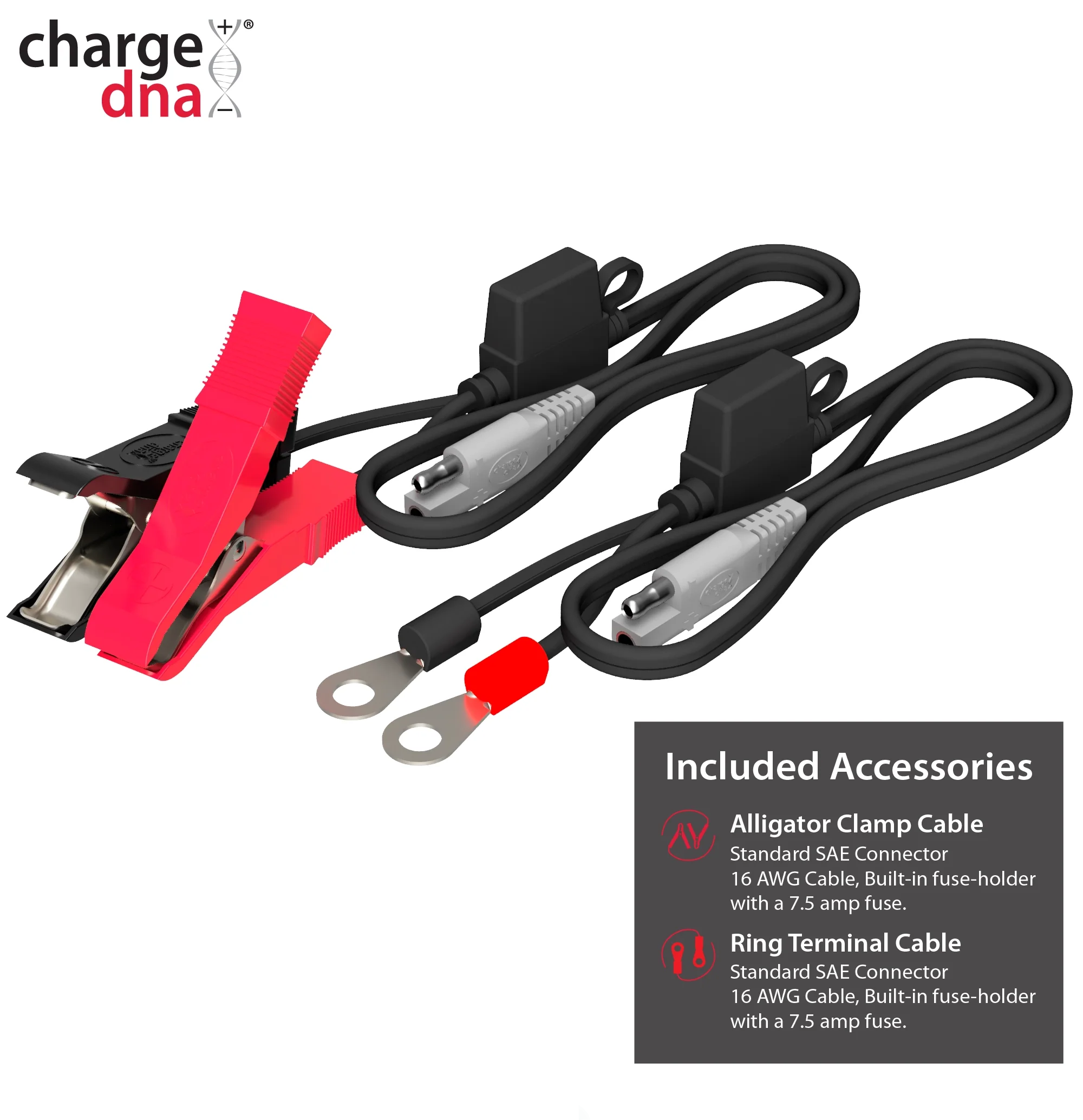 ChargeDNA 1.1