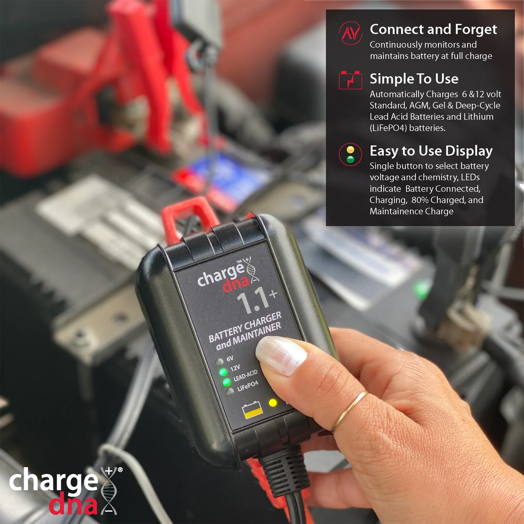 ChargeDNA 1.1+