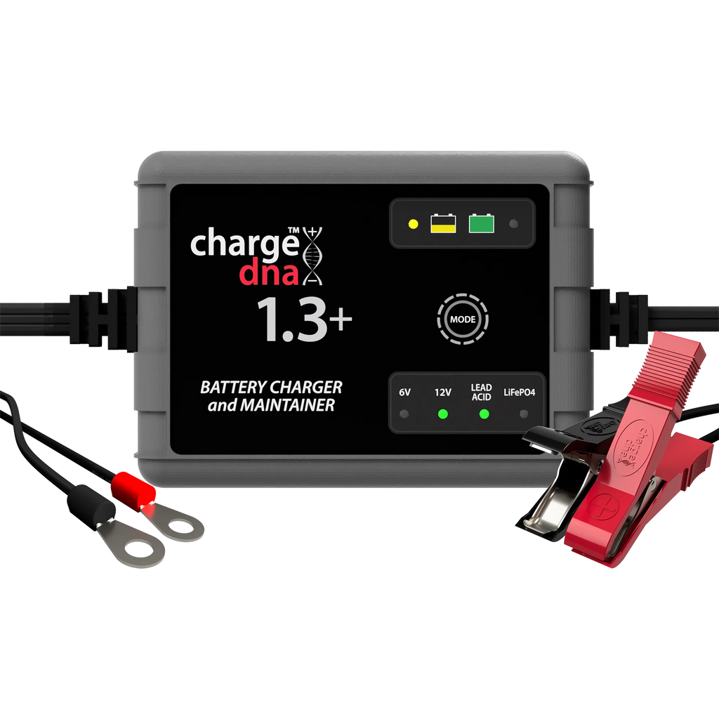ChargeDNA 1.3+