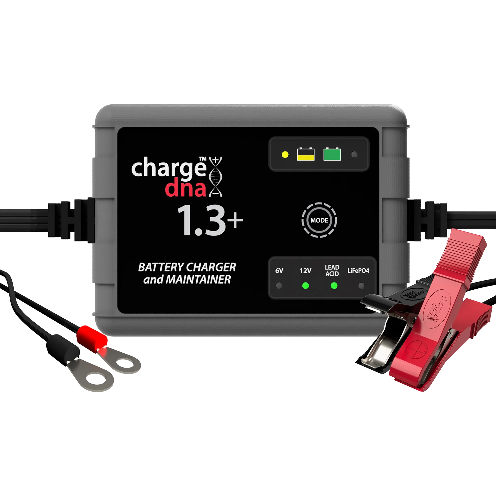 ChargeDNA 1.3+
