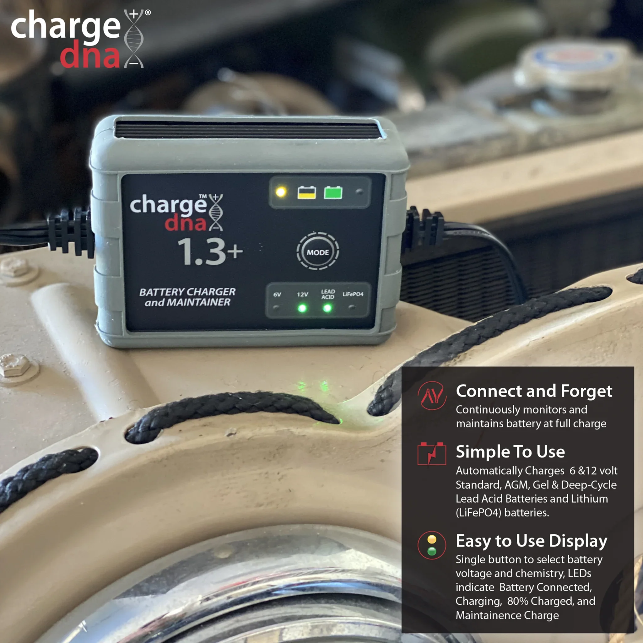 ChargeDNA 1.3+