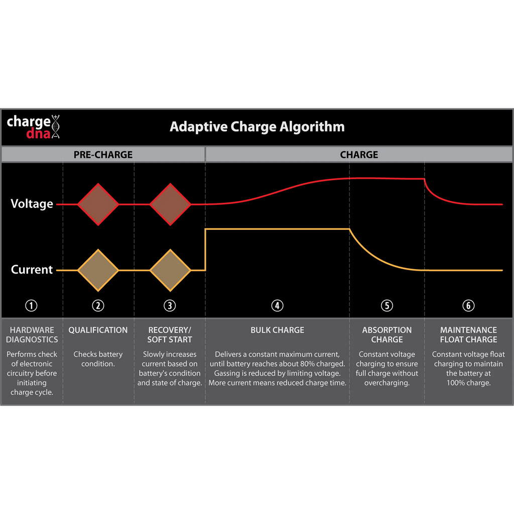 ChargeDNA 5.1