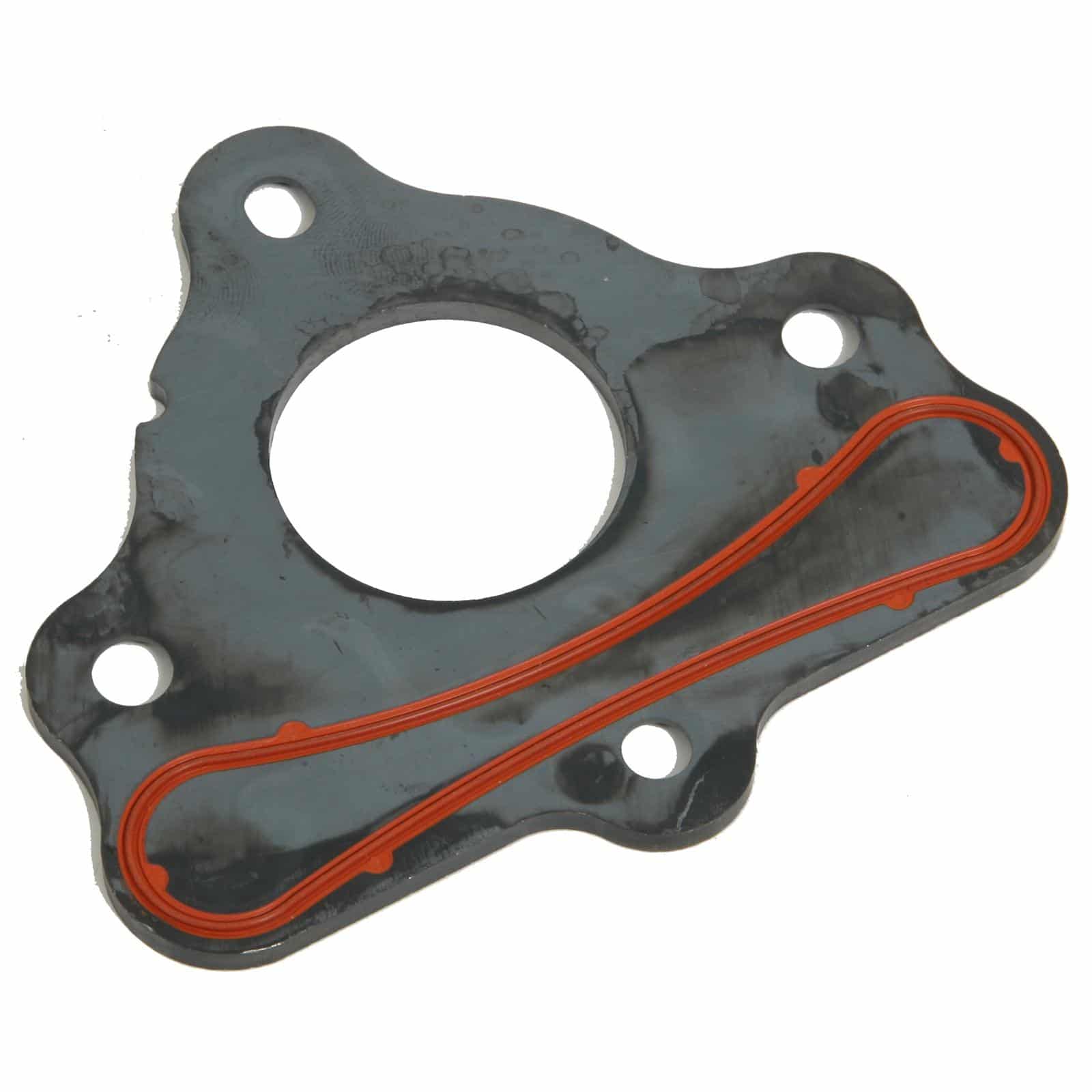 OEM Style Cam Retainer Plate (12589016)