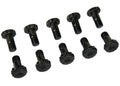 Ford 9" 7/16 Ring Gear Bolt Kit 10 pc - Motion Raceworks